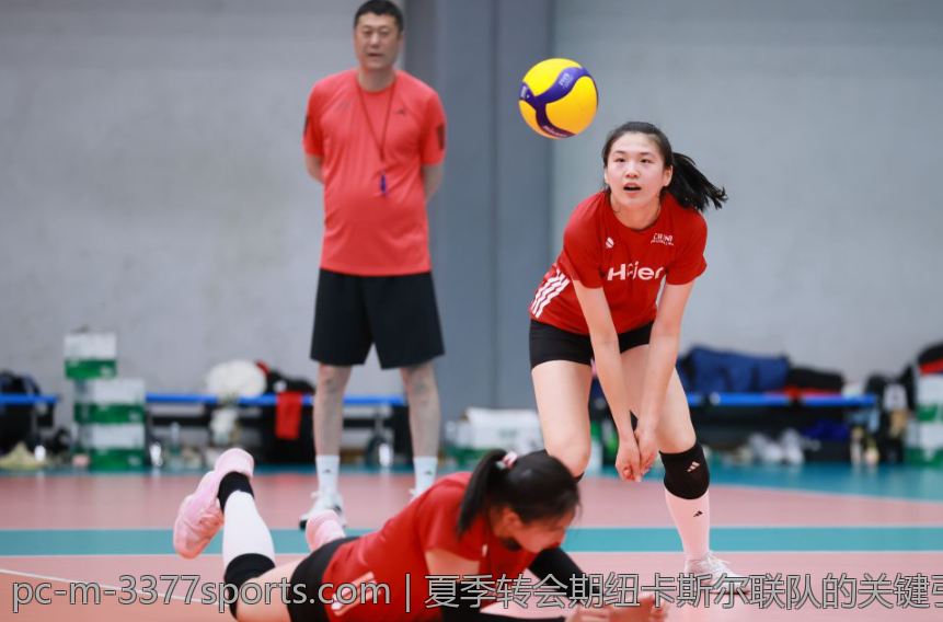 夏季转会期纽卡斯尔联队的关键引援盘点